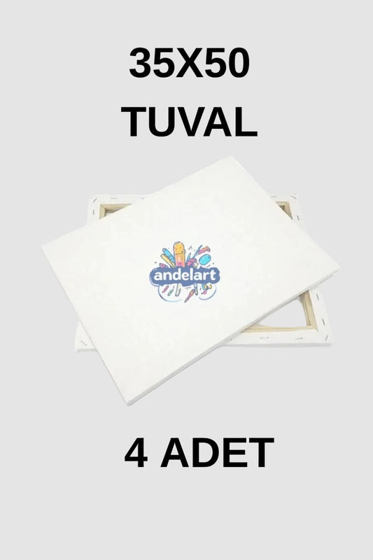 35x50 Cm 4 Adet Astarlı Mini Etkinlik ve Resim Tuvali