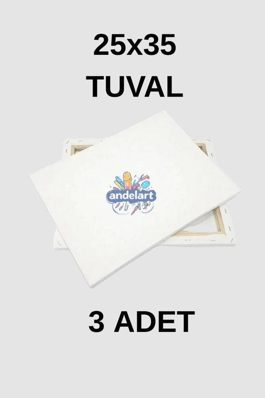 25x35 Cm 3 Adet Astarlı Mini Etkinlik ve Resim Tuvali