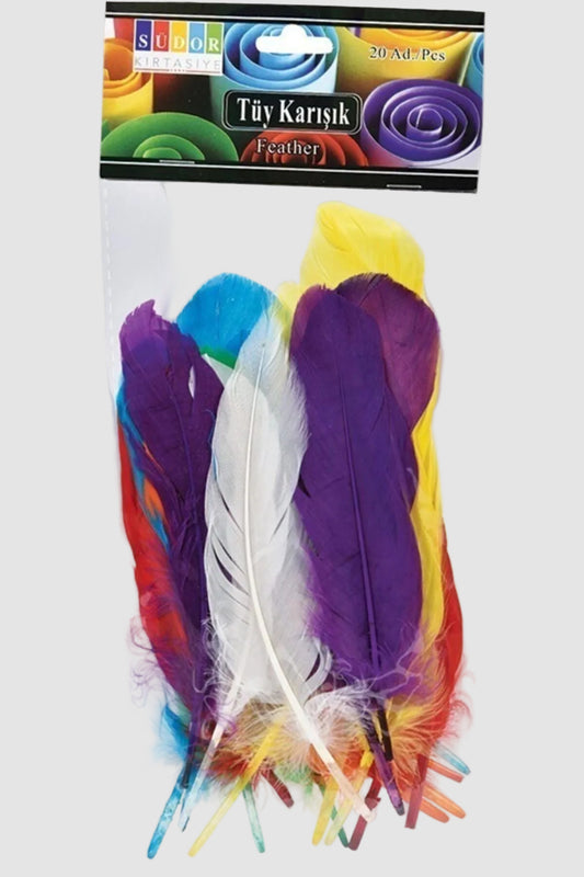 Kuş Tüyü Renkli 12'li - Hobi ve Süsleme Seti