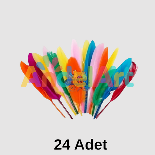 Kuş Tüyü Renkli 24'lü Paket